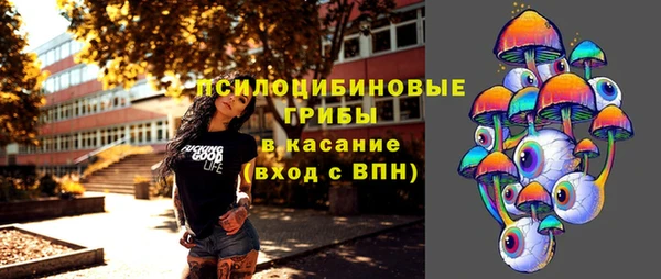 спиды Бронницы