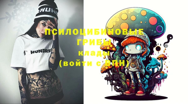 шишки Бугульма