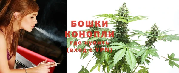 шишки Бугульма